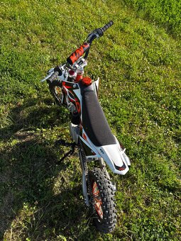 Pitbike Kayo TD125 - 7