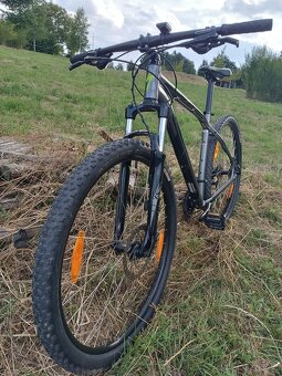 Specialized ROCKHOPPER 29 - 7