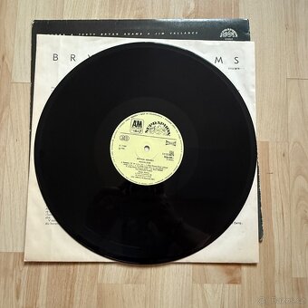 MIX LP - české i zahraniční - ceny od 99kč za kus - SLEVA - 7