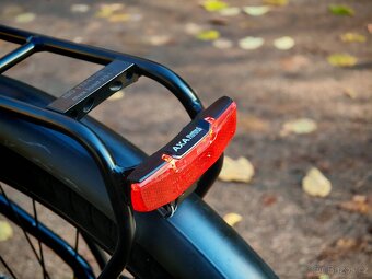 E-bike Diamant Zouma Deluxe+ - 7