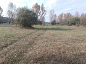 Pozemek u jezera Pístník, přes 1,8 ha, blízko dálnice D8... - 7