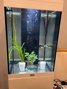 Akvarium Aquatlantis 96L - 7