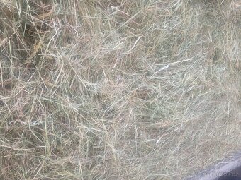 Seno kulaté balíky ze Šumavy - 7