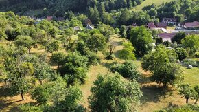 Stavební pozemek Jankovice se zahradou a sadem 10 086m2 - 7