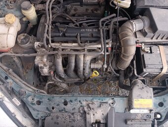 Ford Focus - 7