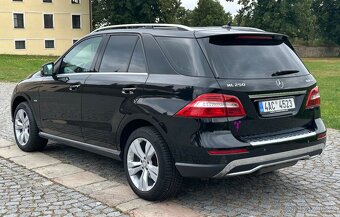 Mercedes-Benz ML 250 4matic - 7