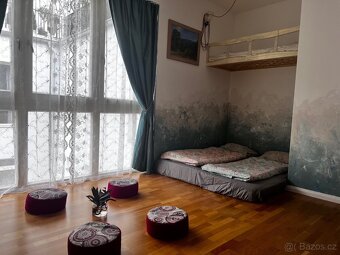 1+KK 26m2 Vinohrady vhodne pro Masaze - 7