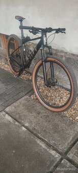 Scott Scale 2025 - 7