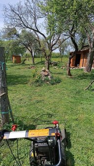 Údržba zeleně - Kácení, Mulčování, Renovace pozemku - 7