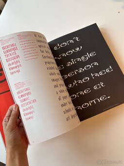Kniha TYPO 9010 - 7
