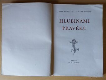 Kniha Hlubinami pravěku - 7
