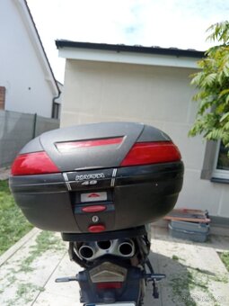 Triumph - 7
