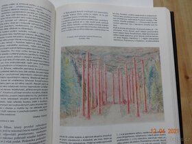 kniha Čtení o Národním divadle - 7