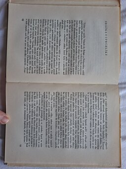 Ústup se slávou - Gun Buster - 7