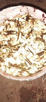 Mulčovací kůra stepka - 7