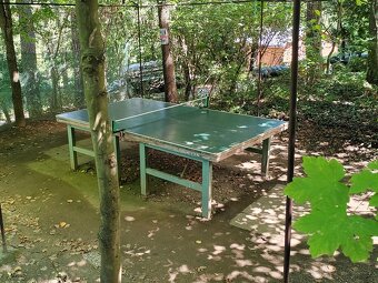 Prodej chaty na Vranovské přehradě v chatové osadě Chmelnice - 7