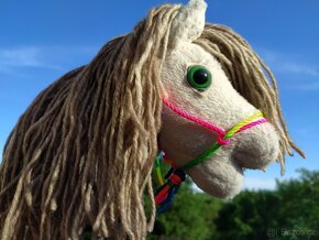 Hobby horse - 7