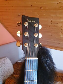 KYTARA YAMAHA DW 15 DREADNOUGHT CELOMASIV - 7