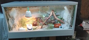 Terárium - 7