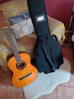Kytara Martinez Minyard Guitars - 7