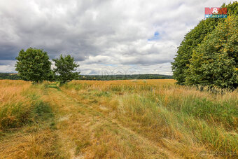 Prodej pole, 11929 m², Chrást - 7
