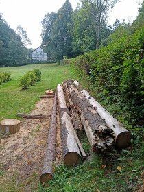 Údržba zahrad, lesů, domů i bytů - hodinový manžel - 7