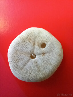 3 lastury + 2 písečné dolary - 7