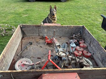 TERRA VARI motor Honda - 7