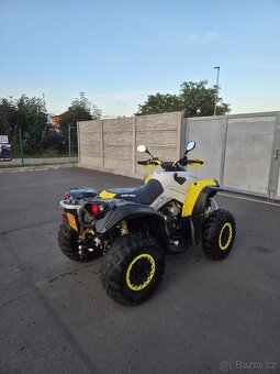 Can Am Renegade 650 XXC MY2019 - 7