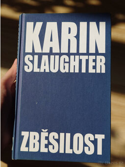 Zběsilost - Karin Slaughter - 7