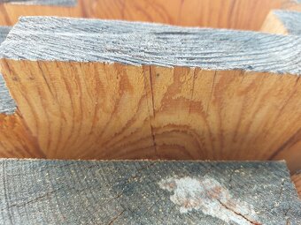 Modřínová prkna - 7