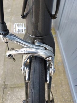 Giant - 7