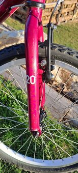 Superior Paint 20"- PĚKNÉ - 7