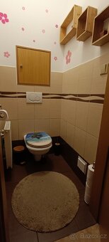 Pronájem bytu 3+1, 76 m², zahrada a parkovací místo - 7