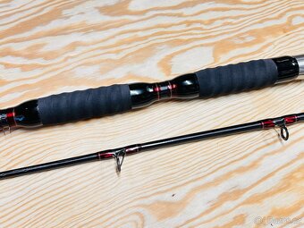 SUMCOVÝ / MOŘSKÝ PRUT SHIMANO FORCEMASTER CAT FISH / 2,70 m - 7