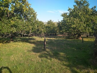 Sad a navazující les v Dolních Kounicích, celkem 12 899 m² - 7