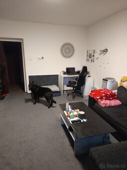 Pronajmu dlouhodobě byt 2+1 v Litvínově ul. Tržní - 7