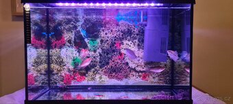 Akvárium Juwel 70l + příslušenství - 7