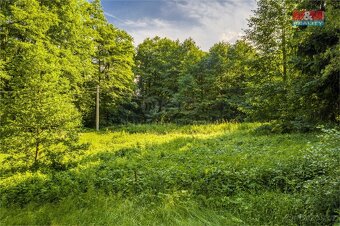 Prodej louky, 646 m², Hodkovice nad Mohelkou - 7