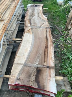 Fošny ořešáku - 7