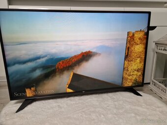 Smart Televize LG 49LH6047 (100hz panel) - 7