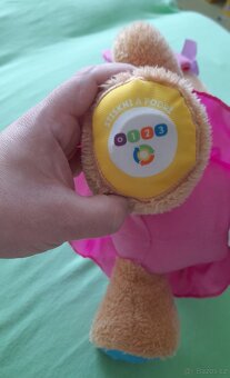 Fisher Price mluvící pejskova sestřička cz - 7