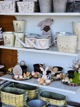 Jarní květiny, rostliny - 7