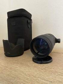 Nikon D3100, Sigma 70-200mm - 7