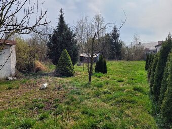Zahrada s chatkou v Bezměrově - 7
