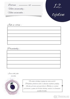 Těhotenský deník - 7