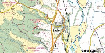 Prodám lesní pozemky v k.ú. Zvole u Zábřeha - 7