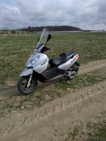 Piaggio X7 - 7