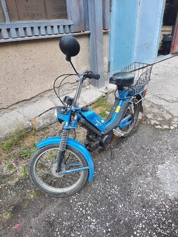 Babetta - 7