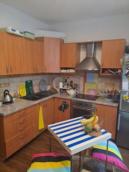 Zrekonstruovaný byt 1+1 (50 m2), ul. Průmyslová 705/14 - 7